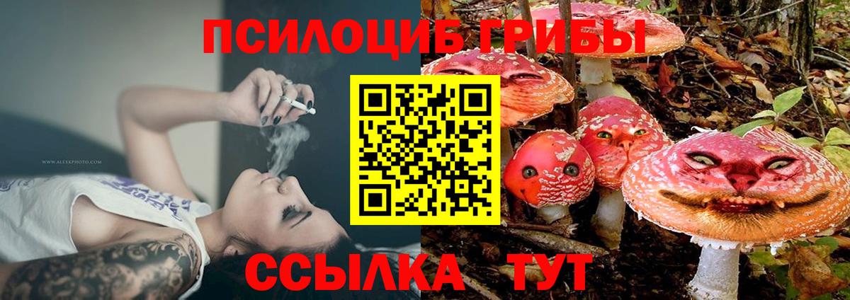 Галлюциногенные грибы GOLDEN TEACHER Кулебаки